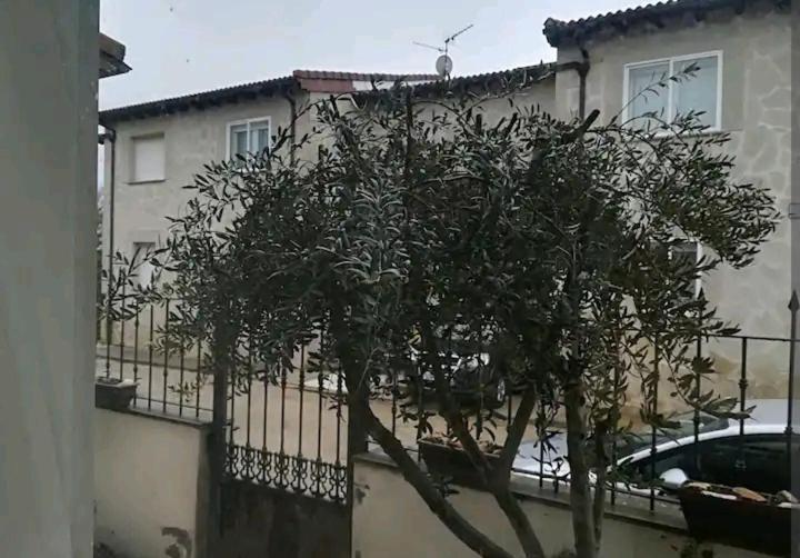Vivienda Adosada , Con Merendero En Carcedo Carcedo de Burgos Buitenkant foto